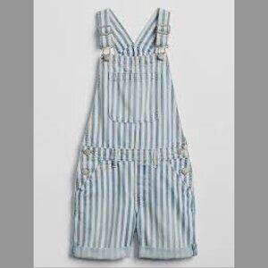 Kids Gap Overalls 2T